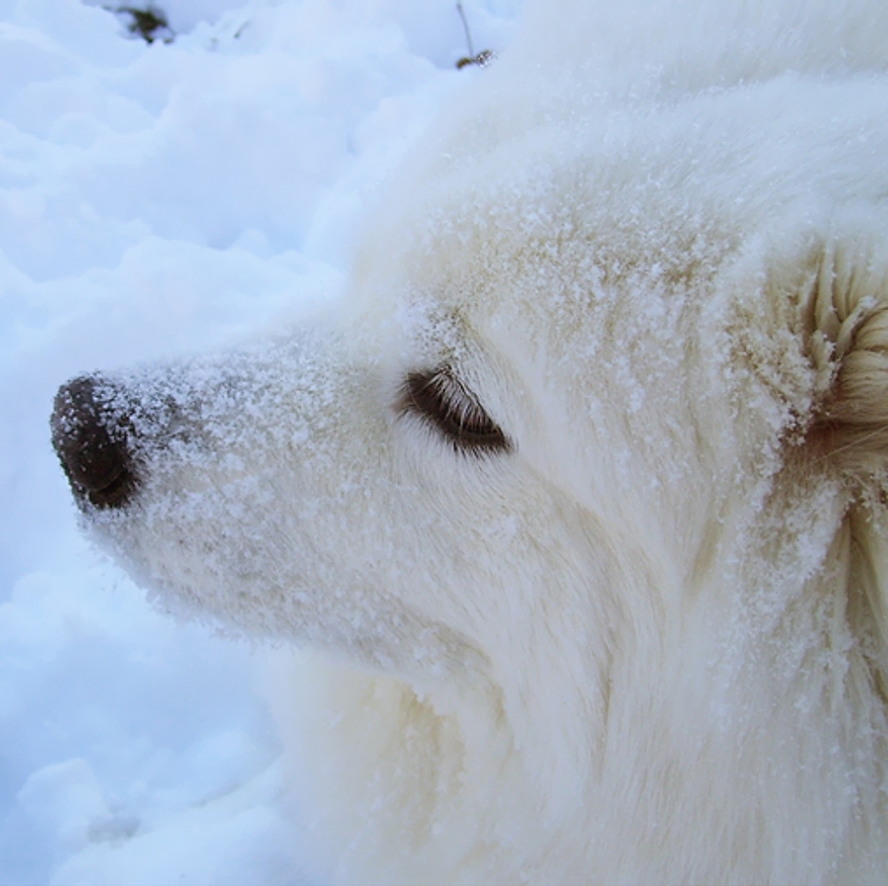 Meet your Posher, Tia